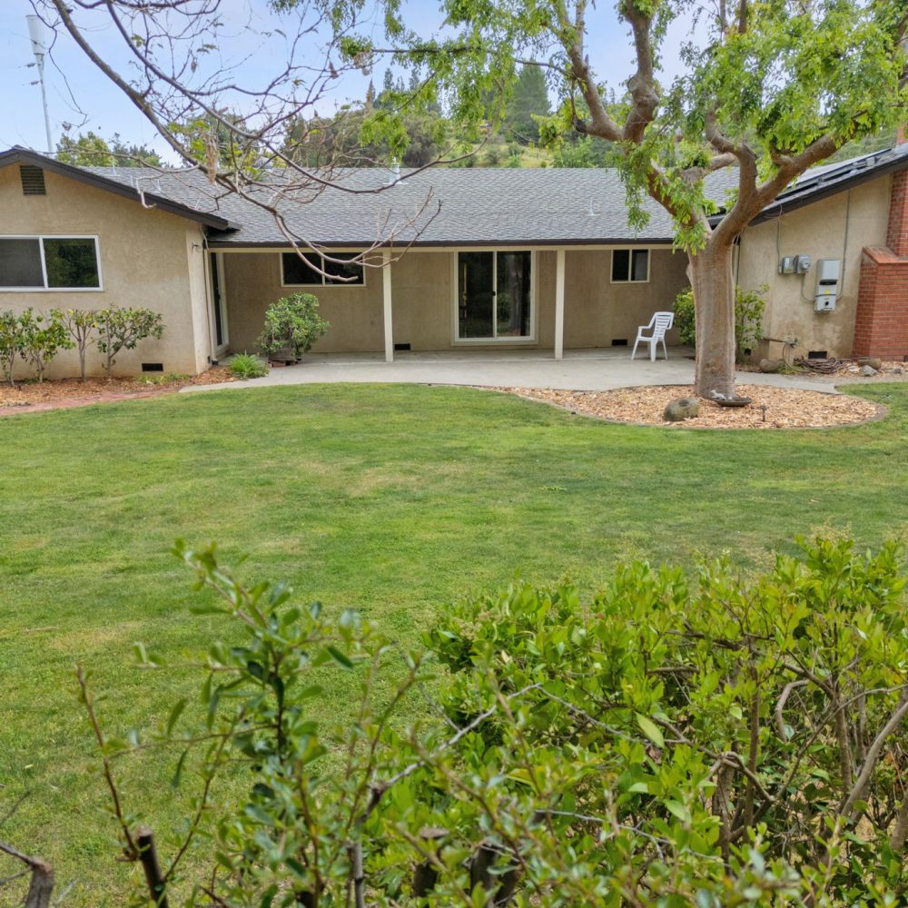28-web-or-mls-Rear Yard Shrubs copy