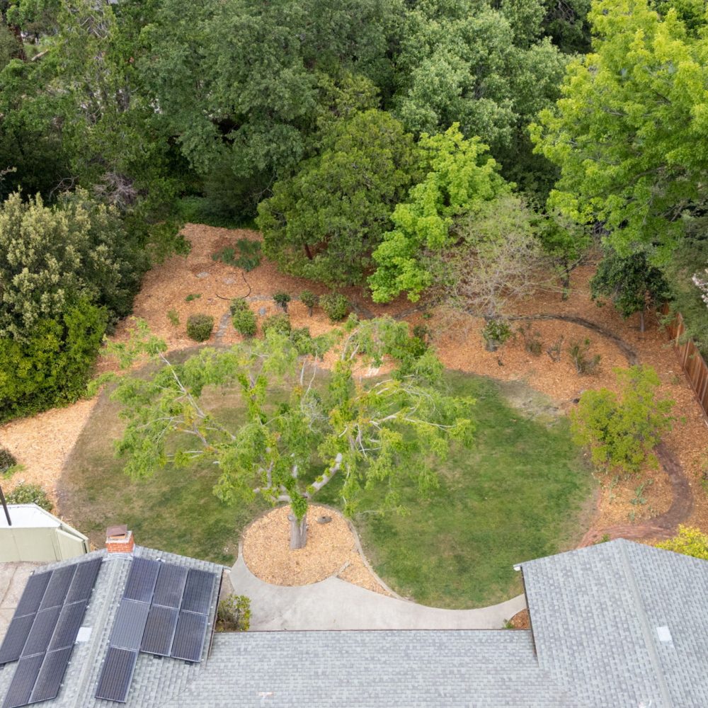 43-web-or-mls-Rear Yard High from Roof