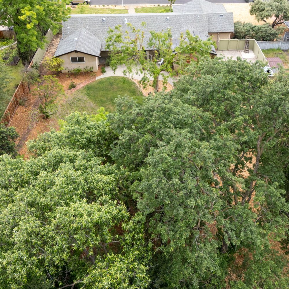 44-web-or-mls-Rear Yard High